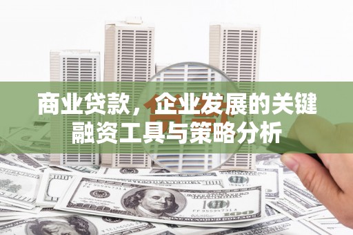 营山商业贷款，企业发展的关键融资工具与策略分析