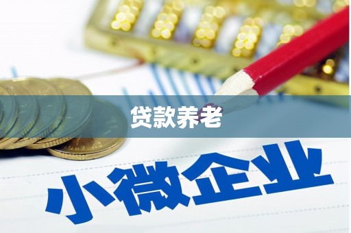 营山贷款养老