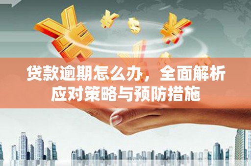 营山贷款逾期怎么办，全面解析应对策略与预防措施