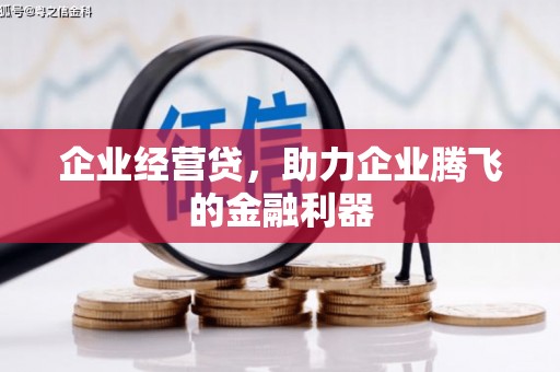 营山企业经营贷，助力企业腾飞的金融利器