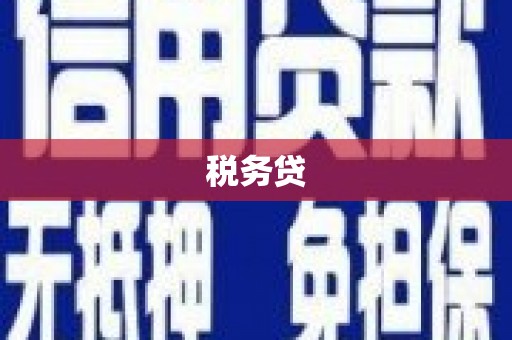 营山税务贷