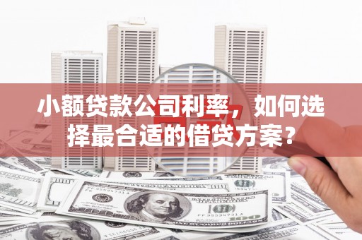 营山小额贷款公司利率，如何选择最合适的借贷方案？