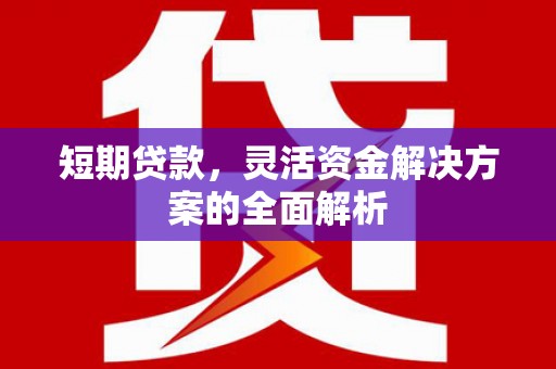 营山短期贷款，灵活资金解决方案的全面解析