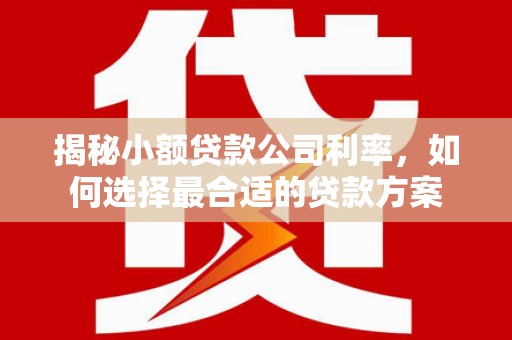 营山揭秘小额贷款公司利率，如何选择最合适的贷款方案