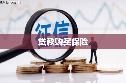营山贷款购买保险