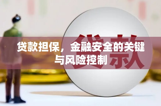 营山贷款担保，金融安全的关键与风险控制