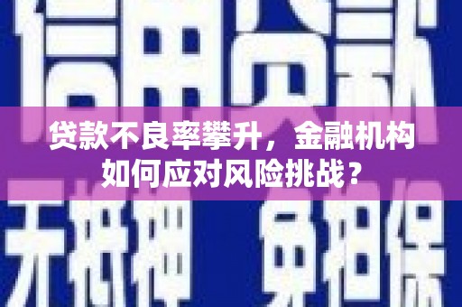 营山贷款不良率攀升，金融机构如何应对风险挑战？