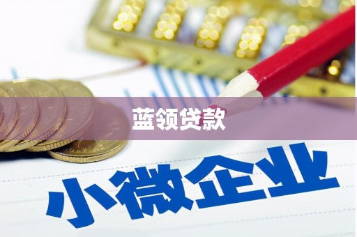营山蓝领贷款