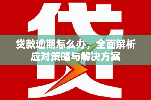 营山贷款逾期怎么办，全面解析应对策略与解决方案